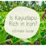 Is Kayudapu Rich in Iron